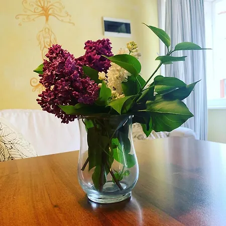 Bevk Apartment Piran