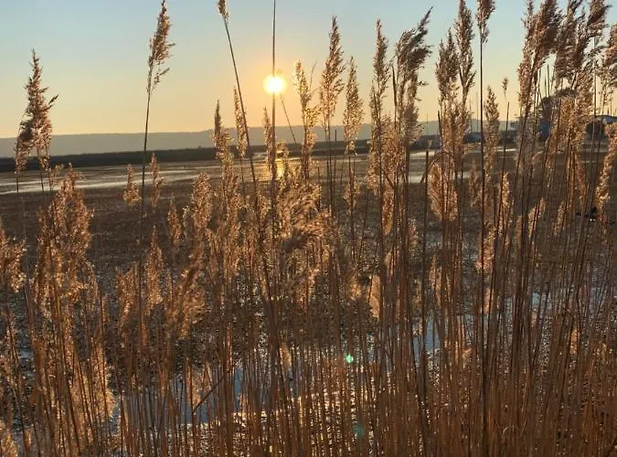 公寓 皮兰佩福克公寓 皮兰