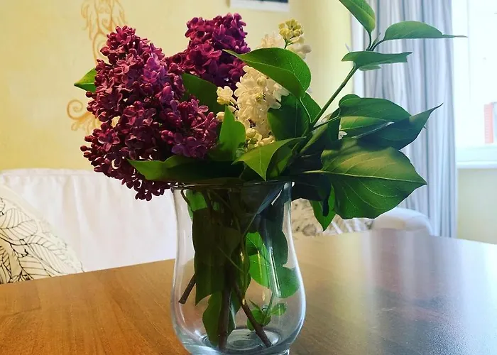 皮兰佩福克公寓 公寓 皮兰